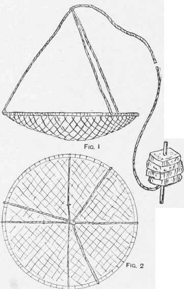Prawn Trap.