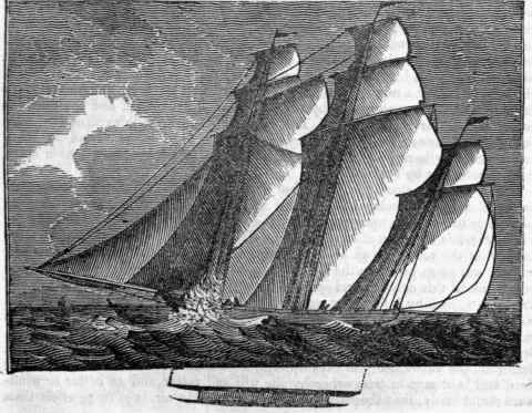 Boat 199