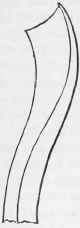 Carving Tools 713