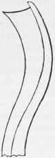 Carving Tools 715
