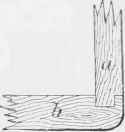 Dowelling 516