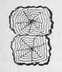 Log Huts 1245