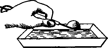 Plate Inspector 10058