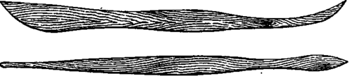 The Tools 500185