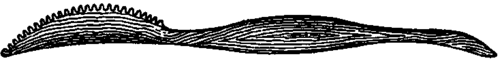 The Tools 500189