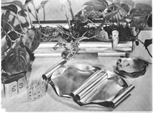 Ash tray Set