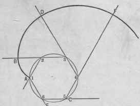 Fig. 229. Enlarged View of the Eye of the Spiral in Fig. 228.