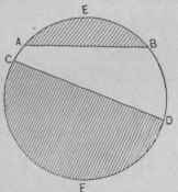 Fig. 31 Seynunts.