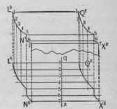 Fig. 883. Upper Return of Bracket Head.