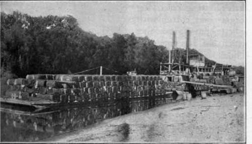Fig. 10. Bales of cotton on a steamboat dock ready for shipping.