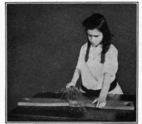 Fig. 105. This little girl is rippling flax by hand at school. Can you see the seeds ?