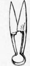 Fig. 117. The hand shears.
