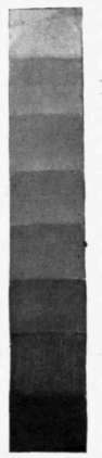 Fig. 134. Can you find the middle values of gray?
