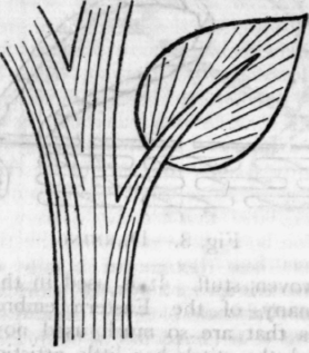 Chapter-II-Embroidery-Stitches-Chain-Stitch-c-10