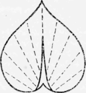 Chapter-II-Embroidery-Stitches-Chain-Stitch-c-11