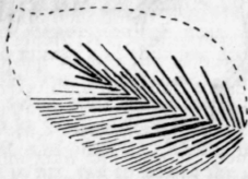 Chapter-III-Tapestry-Long-and-Short-and-Feather-St-14