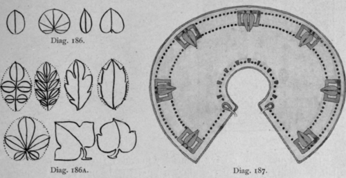 Lesson VIII Introduction Of The Leaf Form 189