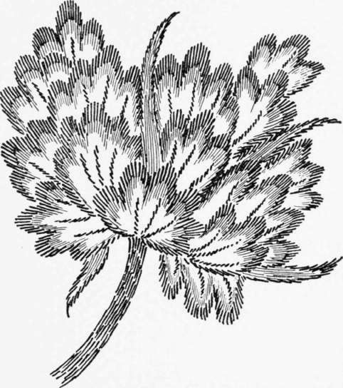 Description Of Designs Illustrated 89