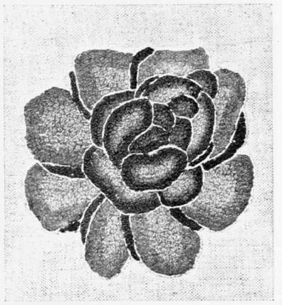 Stitches 105