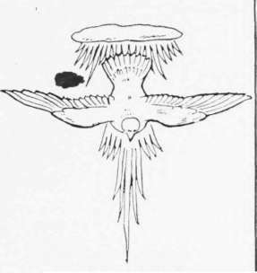 Symbolism 19