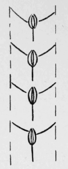 1-Anchor-Stitch-5