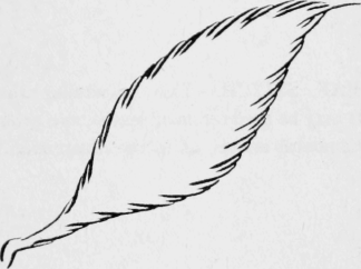 112-Long-And-Short-Stitch-178