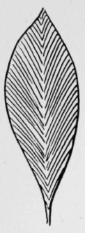153-Satin-Stitch-241