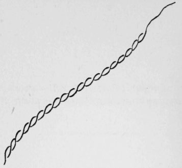 169-Stem-Stitch-263