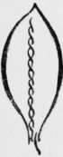 190-Veining-Stitches-293