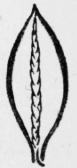 190-Veining-Stitches-294