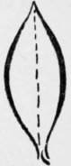 190-Veining-Stitches-296