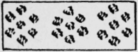 35-Cluster-Stitches-64