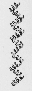 38-Coral-Stitch-72