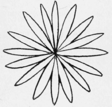 48-Chrysanthemum-Stitch-86