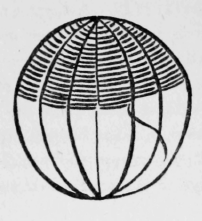 7-Ball-Stitch-12