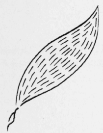 84-Flake-Stitch-143