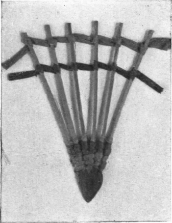 Basketry-65