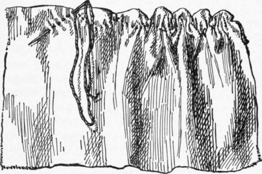 XVII-Gathering-51