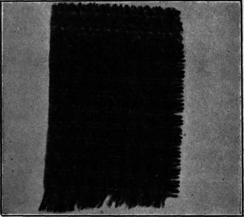 Cloth Made from Shoddy and Cotton.