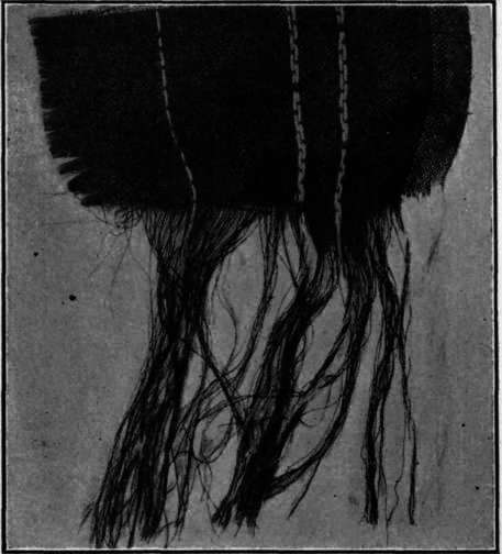 Mohair, Showing Cotton Warp; Wool Removed by Caustic Potash.