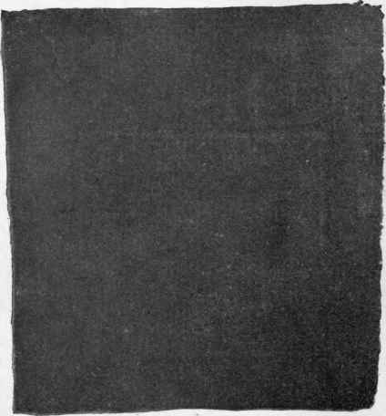 Fig. 62.   Darned on patch.