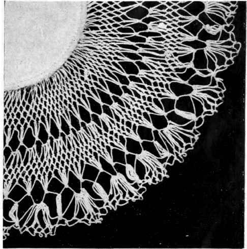 A D'oily showing different sizes of mesh.