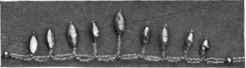 A Pretty Tiara for the hair is shown here.