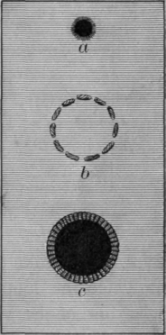 Fig. 47.