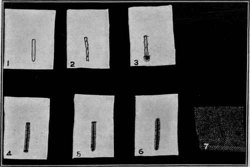 Figure 40.