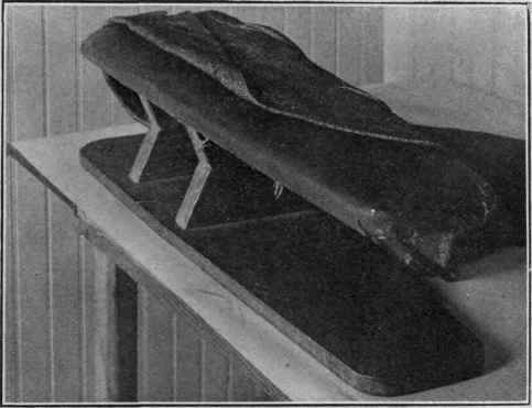 Pressing A Coat 244