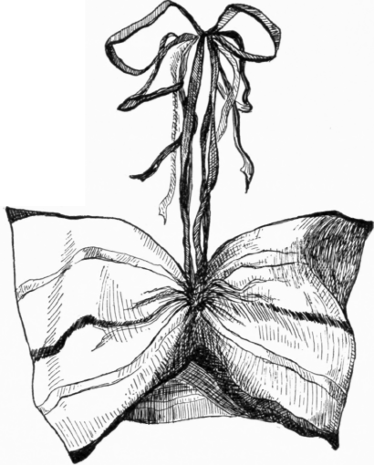 Silk Butterfly Bag.