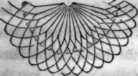 Netting Examples In Netting 53