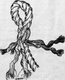 A Short Splice 228