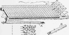 A Camp Bed Made of Saplings with Several Layers of Boughs for the Mattress